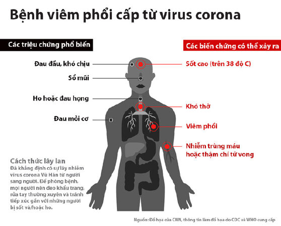 ncov, sar-cov, covid 19, phòng chống dịch bệnh, cần làm chống dịch, top 10 điều nên biết trong mùa dịch corona
