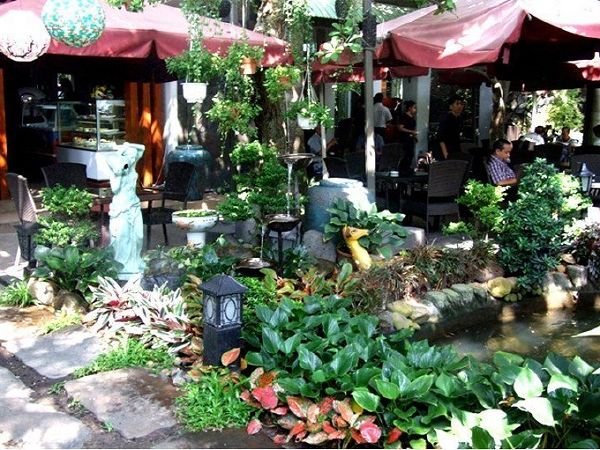 quán c.on cafe, tiệm cà phê hoa giấy, oromia coffee, top 9 quán cafe sân vườn quận 3 có view đẹp nhất