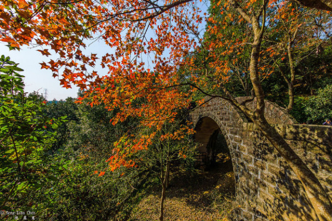 đài loan, lá phong đẹp, yangmingshan, núi manapan, hồ shihmen, fushoushan farm, top 10 địa điểm ngắm lá phong đẹp vào mùa thu tại đài loan