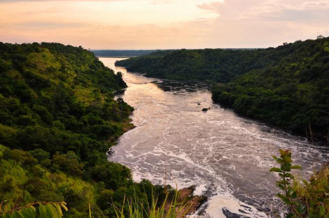 sông nào dài nhất, con sông dài nhất, amazon, top 10 con sông dài nhất hành tinh