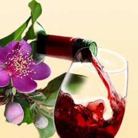 rượu nổi tiếng, rượu, rượu mẫu sơn, rượu ngô men, rượu kim sơn, rượu bàu đá, top 10 đặc sản rượu nổi tiếng nhất việt nam