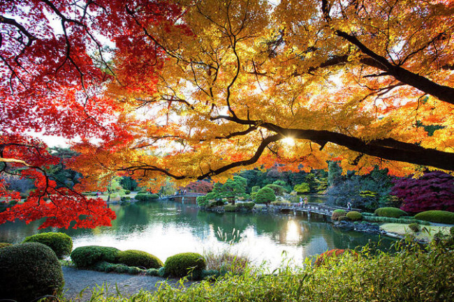 thủ đô tokyo, du lịch tokyo, sky tree, disney sea, ngã tư shibuya, top 12 điểm tham quan nhất định phải ghé khi đến tokyo nhật bản