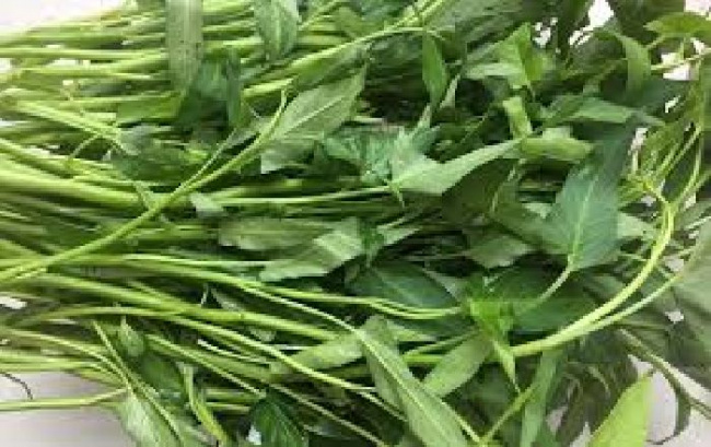 rau ngon dùng để ăn lẩu, rau ăn lẩu, rau muống, tía tô, cải thảo, rau đắng, top 12 loại rau ngon dùng để ăn lẩu được ưa chuộng nhất