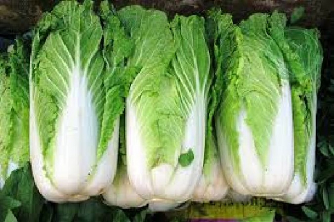 rau ngon dùng để ăn lẩu, rau ăn lẩu, rau muống, tía tô, cải thảo, rau đắng, top 12 loại rau ngon dùng để ăn lẩu được ưa chuộng nhất