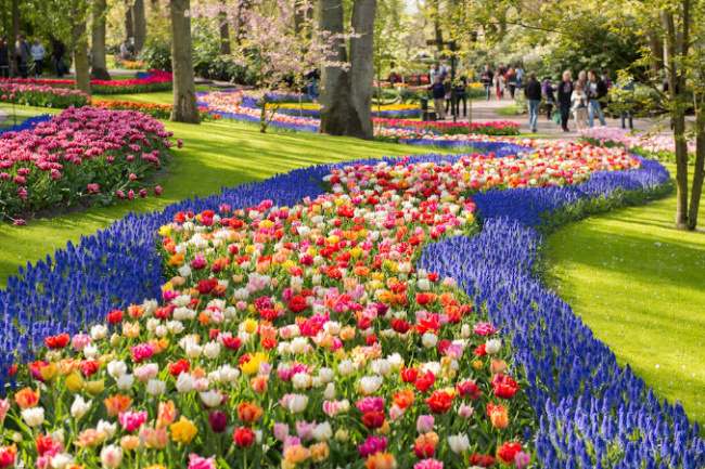 vườn hoa, vườn hoa đẹp, vườn hoa thế giới, vườn hoa quốc gia, vườn hoa đẹp nhất, vườn hoa nhật bản, top 11 vườn hoa đẹp nhất thế giới khiến bạn mê mẩn