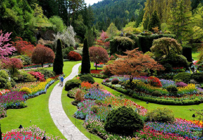 vườn hoa, vườn hoa đẹp, vườn hoa thế giới, vườn hoa quốc gia, vườn hoa đẹp nhất, vườn hoa nhật bản, top 11 vườn hoa đẹp nhất thế giới khiến bạn mê mẩn