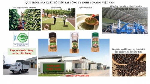 11 công ty sản xuất gia vị thực phẩm uy tín nhất tại việt nam
