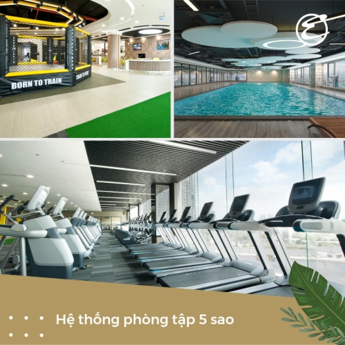 10 phòng tập gym chất lượng nhất tp. hạ long, quảng ninh