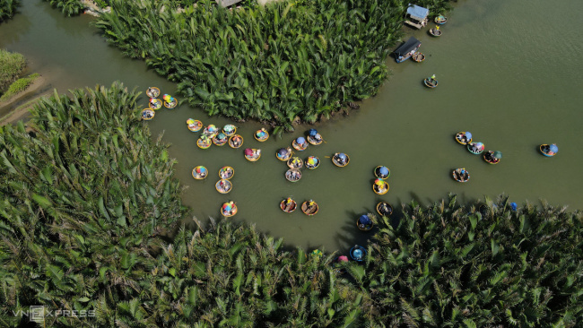 cam thanh coconut forest, hoi an, quang nam, cam thanh water coconut forest attracts tourists in the summer