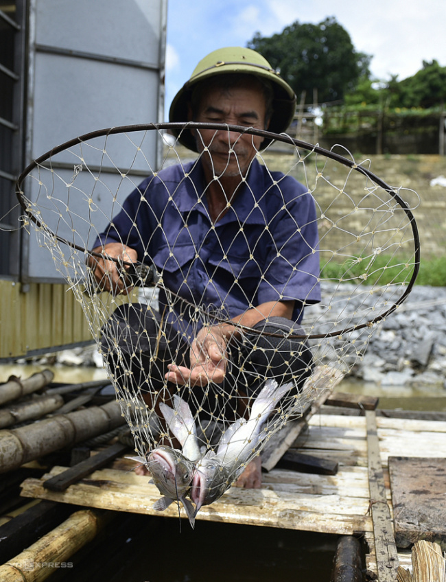 thanh hoa tourism, yen duyet fishing village, breeding lentils upstream of the ma river