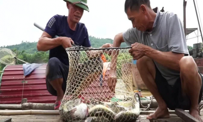 thanh hoa tourism, yen duyet fishing village, breeding lentils upstream of the ma river