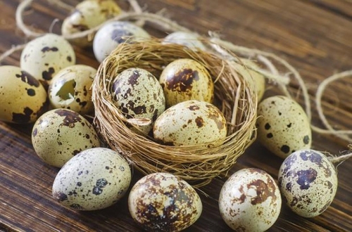 10 tác dụng tuyệt vời khi ăn trứng cút