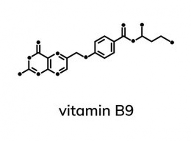 Vitamin b9 (axit folic) là gì?  Chức năng và nhiệm vụ của vitamin B9 đối với cơ thể