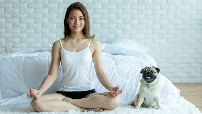 Tập yoga cùng cún: Tưởng không vui ai dè vui không tưởng - ALONGWALKER