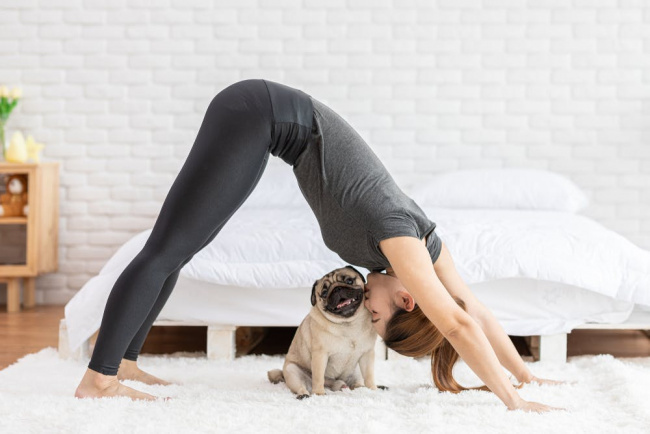 tập yoga cùng cún: tưởng không vui ai dè vui không tưởng