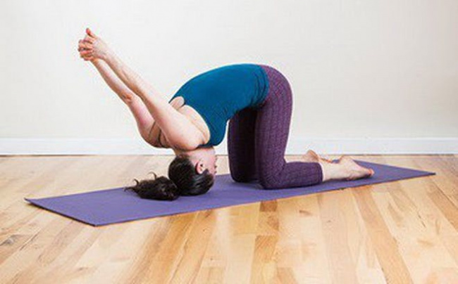 6 bài tập yoga chữa đau đầu đơn giản tại nhà
