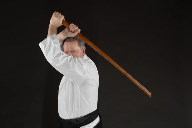 aikido là gì và những điều bạn cần biết về môn võ thuật này
