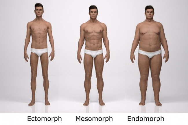 tạng người endomorph: tập và ăn gì để giảm cân nhanh?