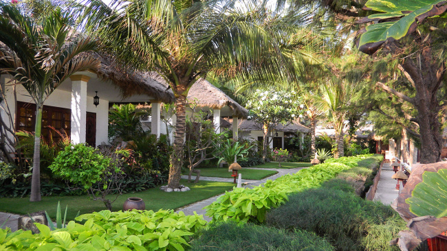 cham villas resort – không gian nghỉ dưỡng xanh tại miền duyên hải