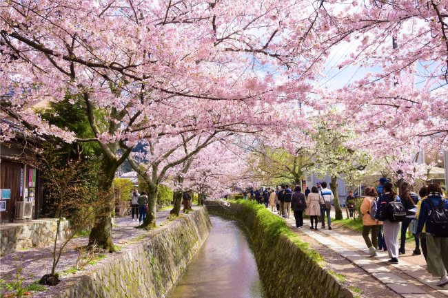 những điểm đến nổi tiếng nhất định phải tới tại kyoto