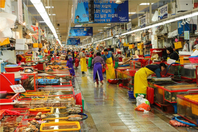 chơi busan, ghé thăm jagalchi, chợ cá lớn nhất xứ hàn quốc