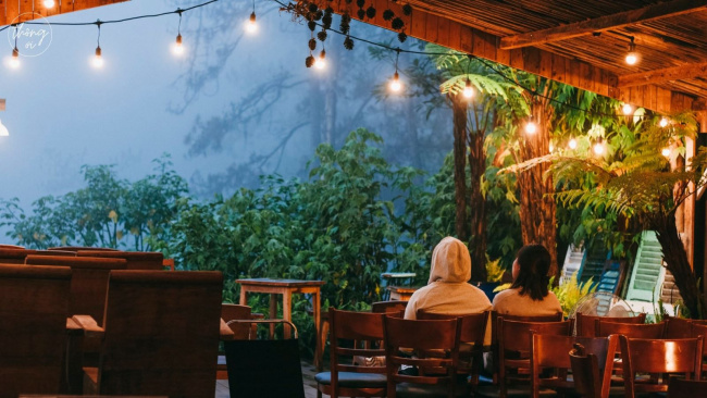 4 quán cà phê ẩn trong rừng đà lạt