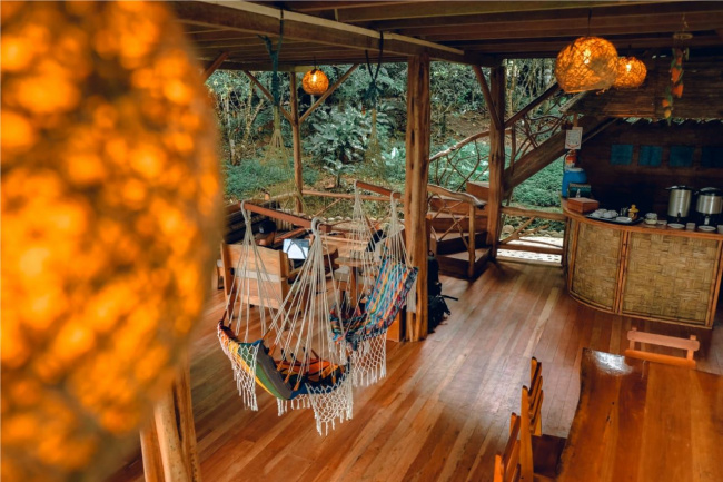 amazon, những khu nghỉ dưỡng trong rừng lọt top đẹp nhất thế giới