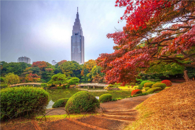 7 điểm tham quan không thể bỏ lỡ khi đến tokyo
