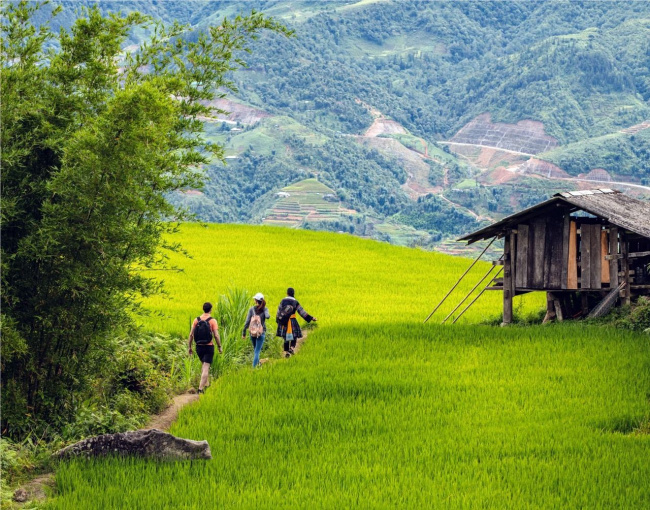 laxsik ecolodge sapa - điểm dừng chân xanh dành cho mọi gia đình