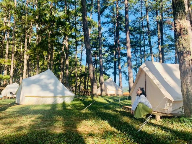 cắm trại sang chảnh giữa thiên nhiên xanh quanh đà lạt