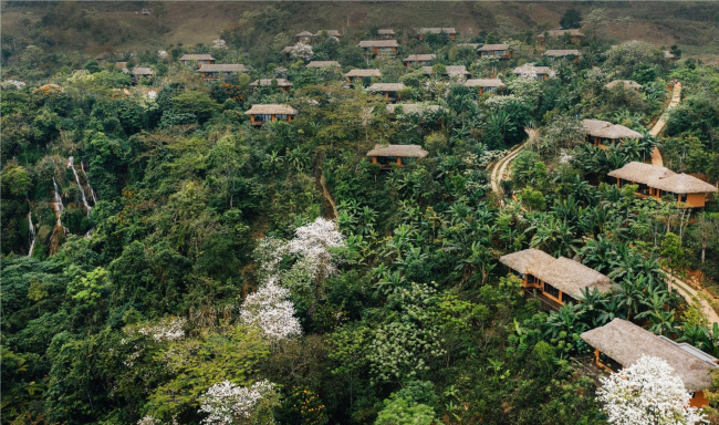 avana retreat - khu resort 5 sao giữa rừng hoa ban ở mai châu