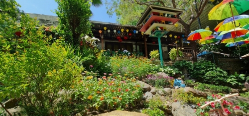 8 quán cà phê sân vườn đẹp nhất tp. nha trang, khánh hòa