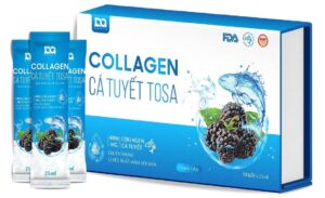 [Review] Collagen loại nào tốt nhất cho da hiện nay? Cách chọn được loại Collagen tốt