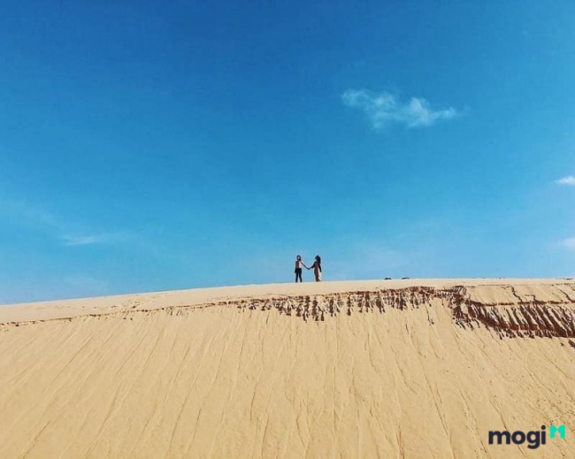 cẩm nang trải nghiệm đồi cát phương mai nức tiếng tại bình định