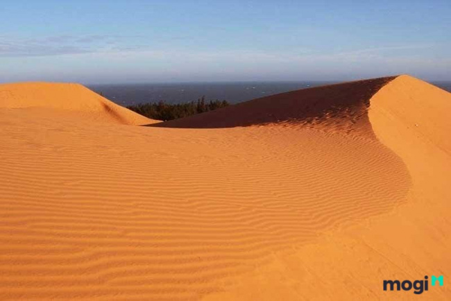 cẩm nang trải nghiệm đồi cát phương mai nức tiếng tại bình định