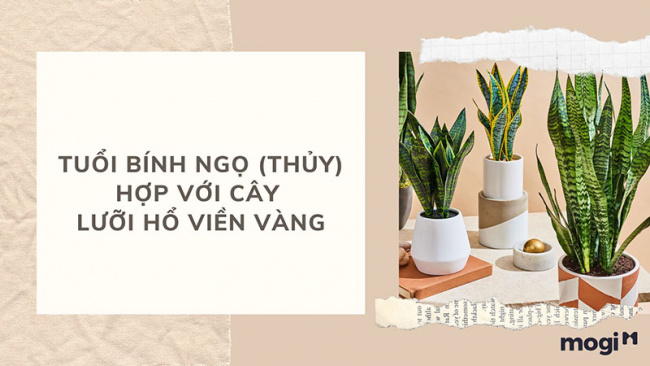 trồng cây phong thủy theo tuổi cho 12 con giáp tài lộc, bình an