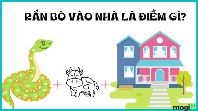 Rắn vào nhà dự báo điềm lành hay dữ? Giải mã hiện tượng rắn vào nhà