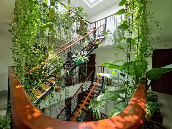 nicobar con dao hotel – khu vườn nhiệt đới tươi mát ngoài khơi xa