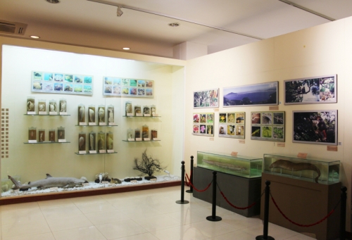 6 bảo tàng nổi tiếng nhất tại đà nẵng