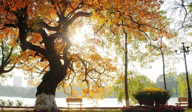 autumn in hanoi, beautiful scenery, flower field, moon cake, rocky plateau, travel, 5 most beautiful places in autumn in vietnam: the last place that couples should not miss