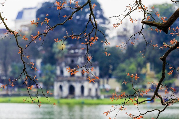 autumn in hanoi, beautiful scenery, flower field, moon cake, rocky plateau, travel, 5 most beautiful places in autumn in vietnam: the last place that couples should not miss