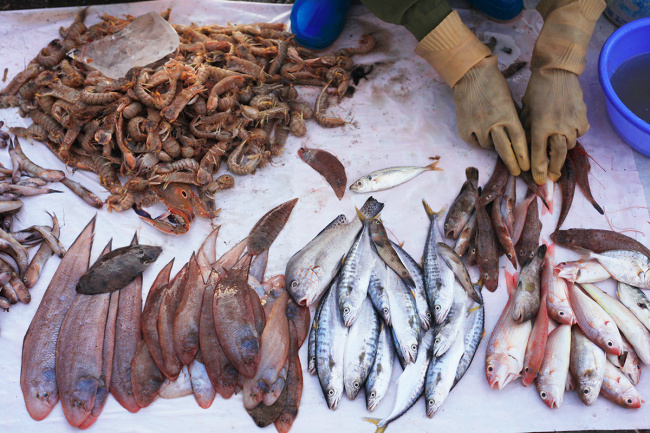 top 5 chợ hải sản cô tô giá rẻ, tươi ngon không thể bỏ lỡ