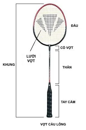 tìm hiểu cấu tạo cơ bản của vợt cầu lông