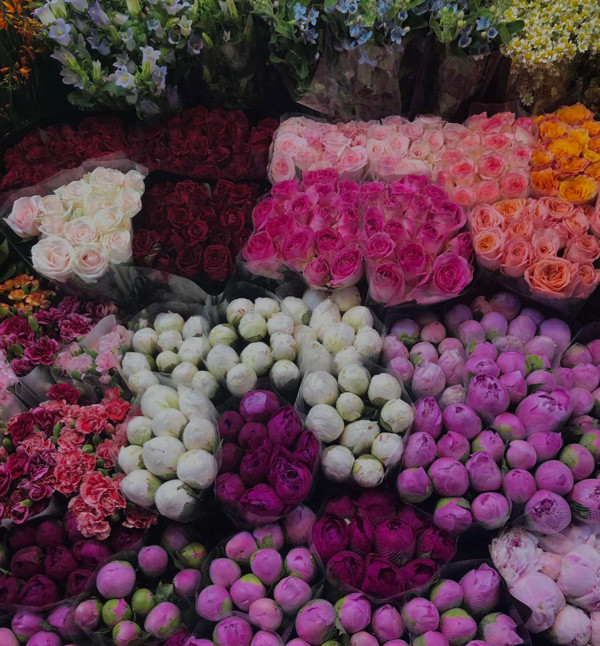 khám phá chợ hoa quảng bá - vẻ đẹp khác biệt của hà nội về đêm