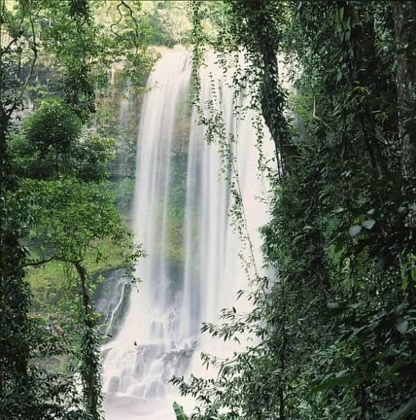 trải nghiệm khu du lịch thác đamb'ri - 1 trong 7 thác nước đẹp nhất thế giới tại việt nam