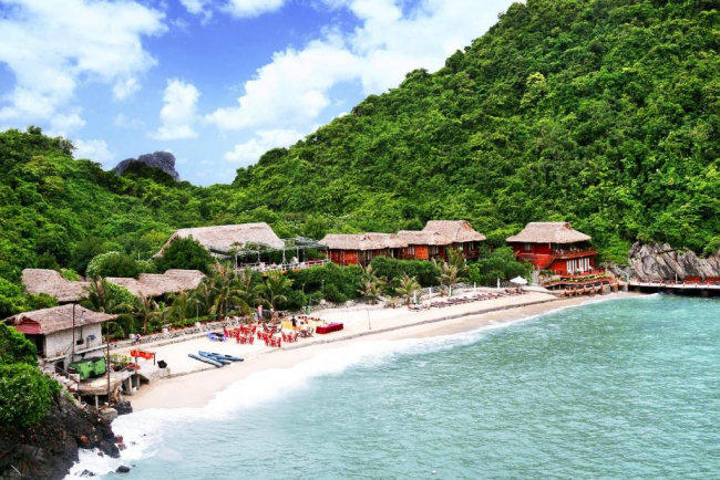 monkey island resort – tìm về chốn tự nhiên thanh bình