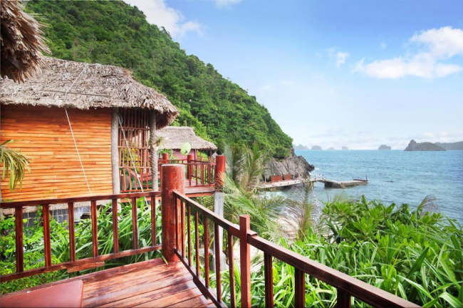 monkey island resort – tìm về chốn tự nhiên thanh bình