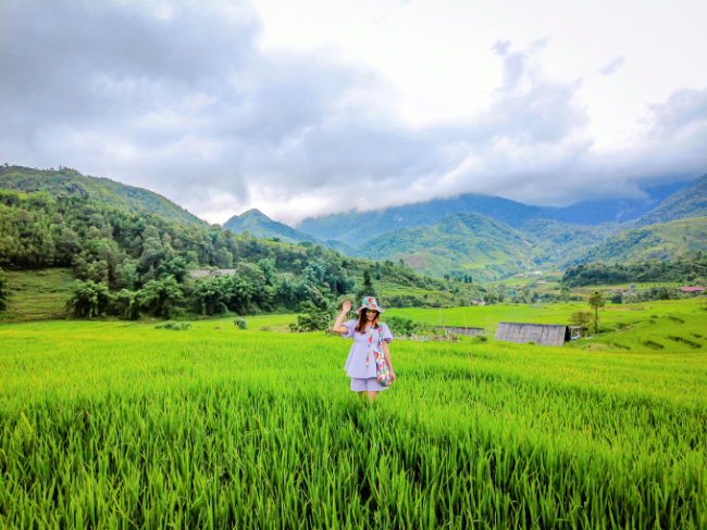 golden season, lao cai, lao cai tourism, nam cang, ripe rice, travel to sapa, hunting ripe rice in nam cang