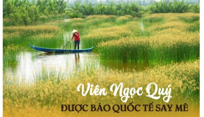 ho chi minh city, mangroves, mekong delta, mekong river, tourist attractions, 1 place in vietnam is called ‘jewel’ by the international travel website: ecological enthusiast’s dream