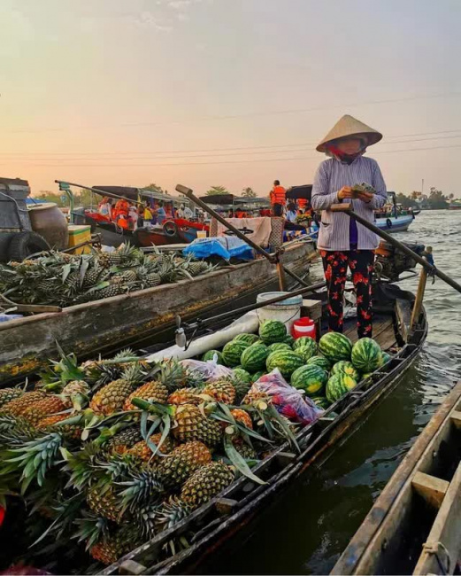 ho chi minh city, mangroves, mekong delta, mekong river, tourist attractions, 1 place in vietnam is called ‘jewel’ by the international travel website: ecological enthusiast’s dream
